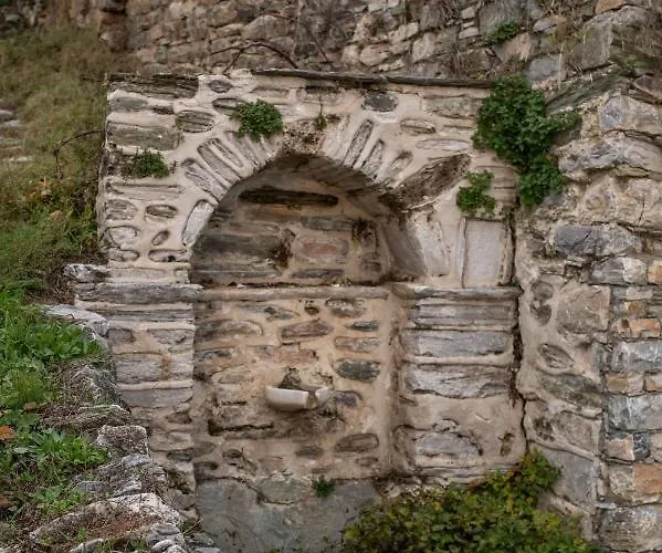 The Fern House מלון דירות