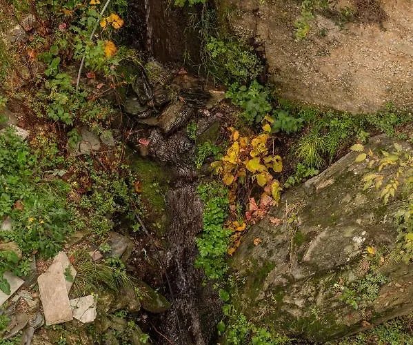 The Fern House מלון דירות מקריניצה