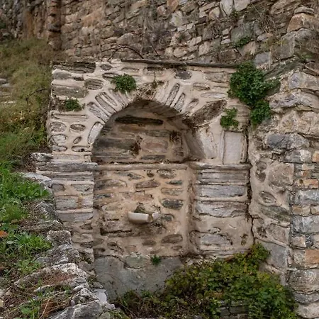 The Fern House מלון דירות