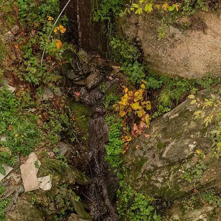 The Fern House Apartmanhotel Makriníca